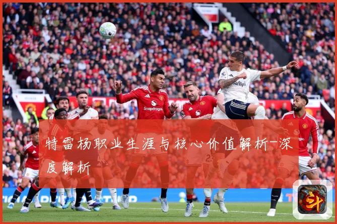 特雷杨职业生涯与核心价值解析-深度解析